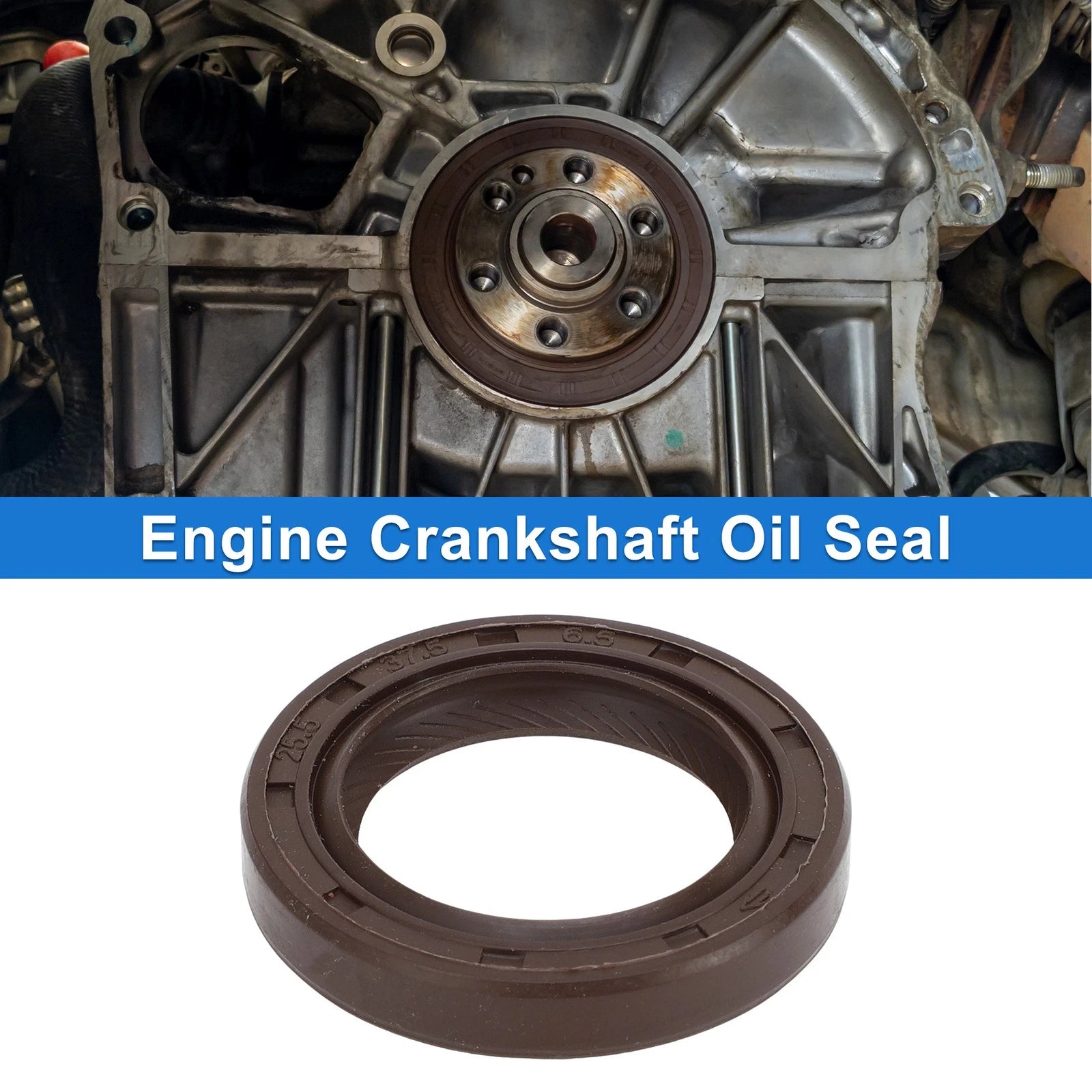 Front Crankshaft Oil Seal Replacement for Toyota Echo Prius (1999–2015)