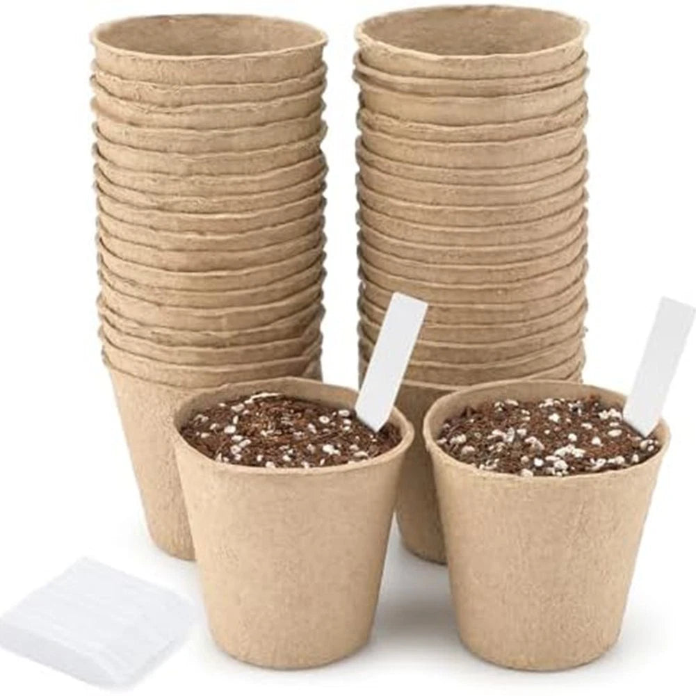 Biodegradable Flower Pots for Garden Enthusiasts