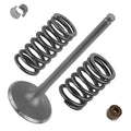 Intake Valve Kit for Honda Rancher 400 TRX400A 4x4 (2004–2007)