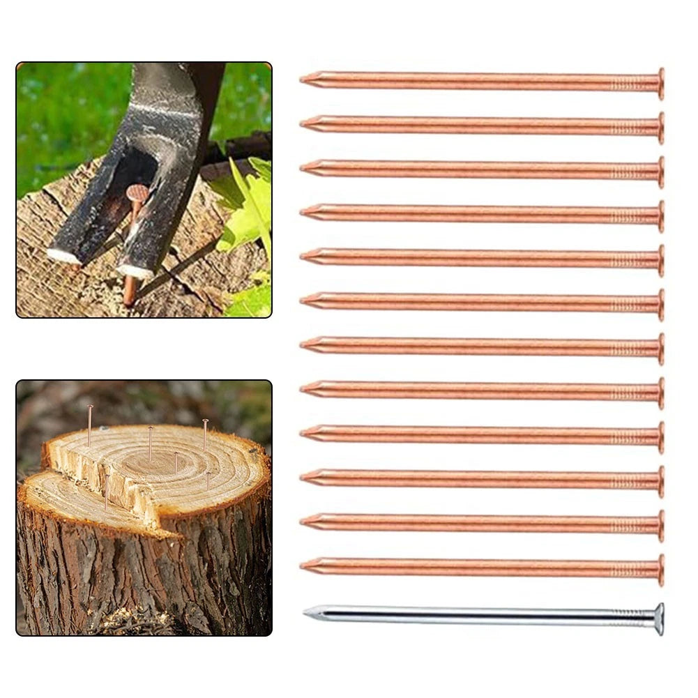 Stump Removal Copper Nails for Landscaping Projects - Convenient Storage Box