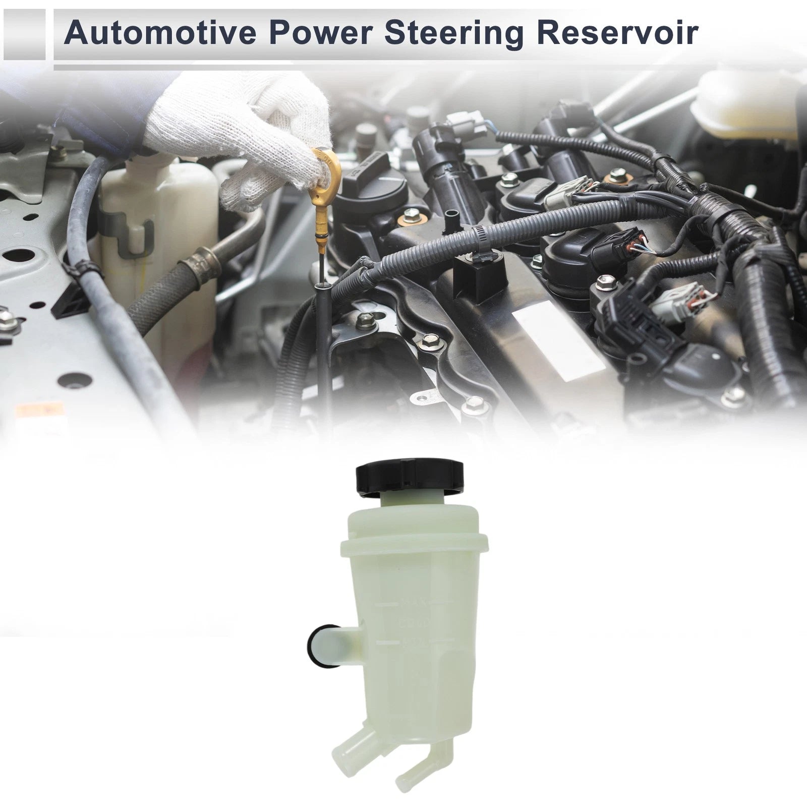 Power Steering Reservoir for Ford Focus 1 Pc Beige (2000–2004)
