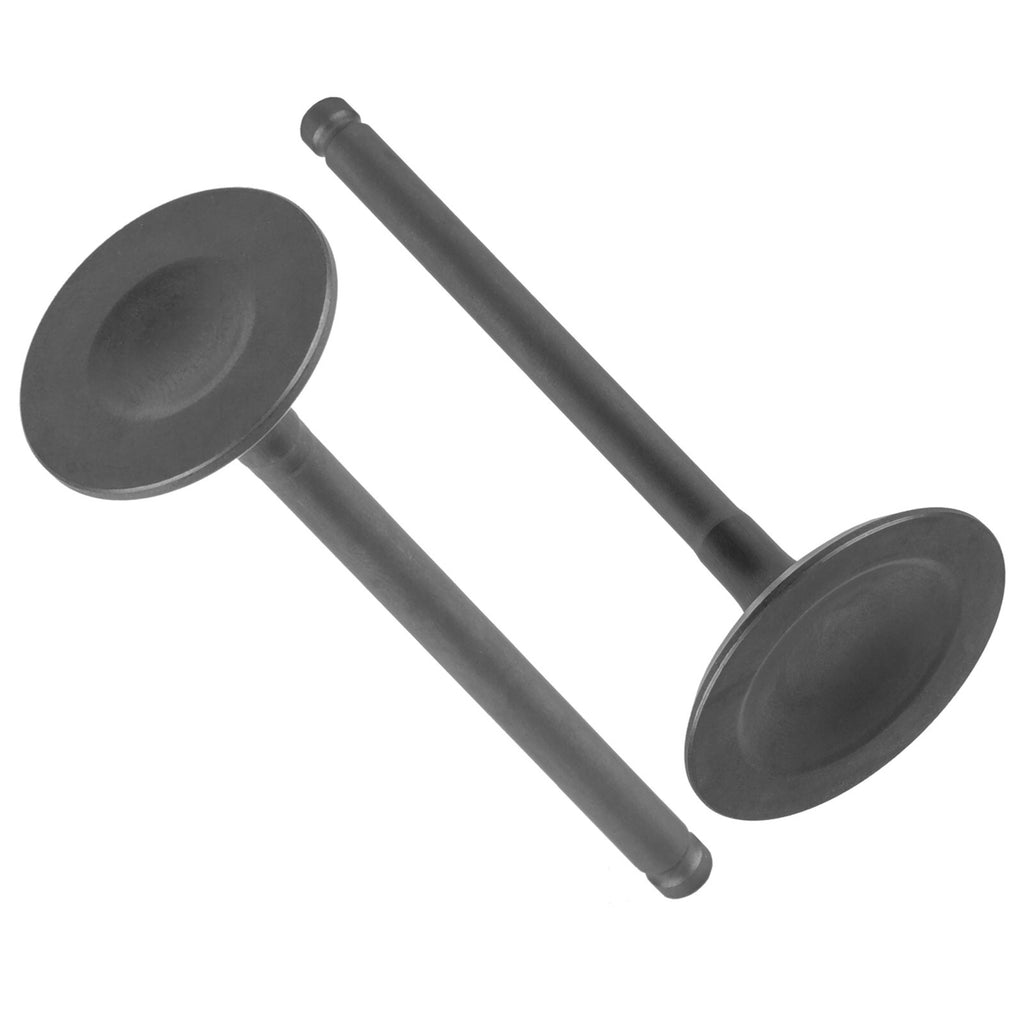 Intake & Exhaust Valves Replacement for Honda Rancher TRX350FE (2000–2006)