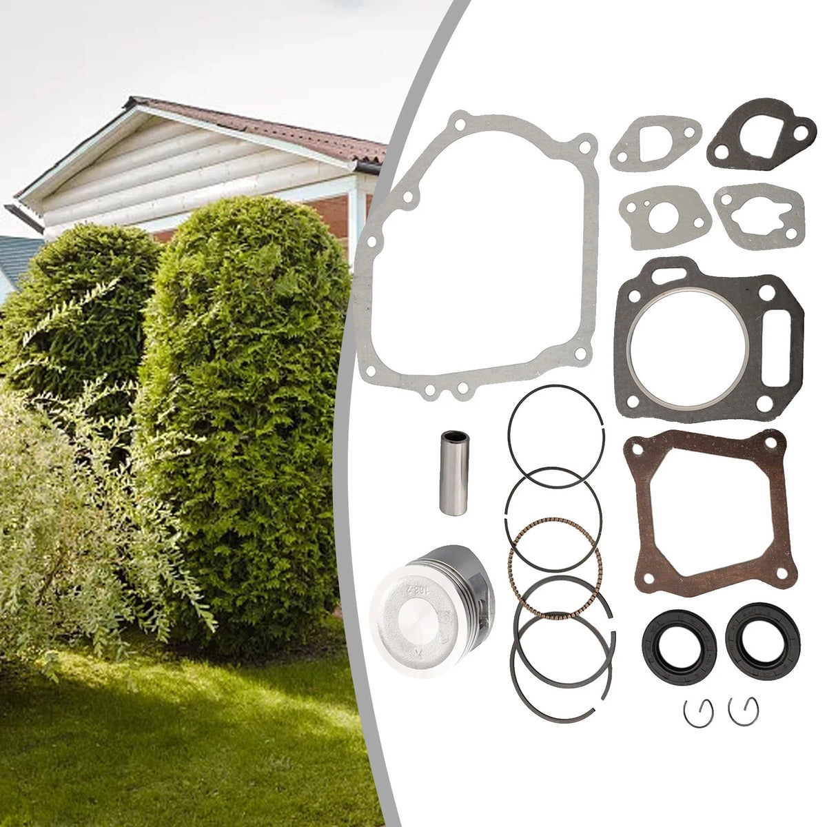 Oil Seal Rebuild Set for Carburetor Engine Motor