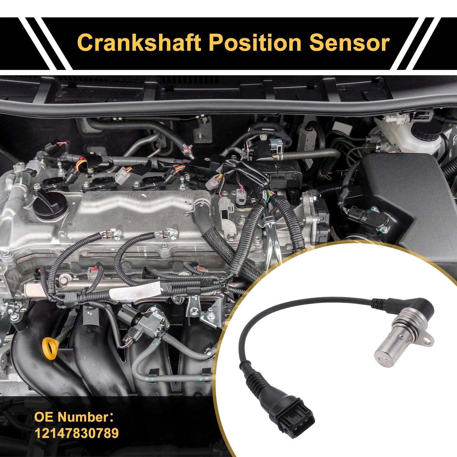 Crankshaft Position Sensor Replacement for BMW Z3 M Coupe E36 (2001–2003)