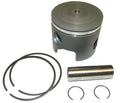 Loop Piston Kit .020 for Johnson Evinrude 120-300 HP (100-135-05SK)