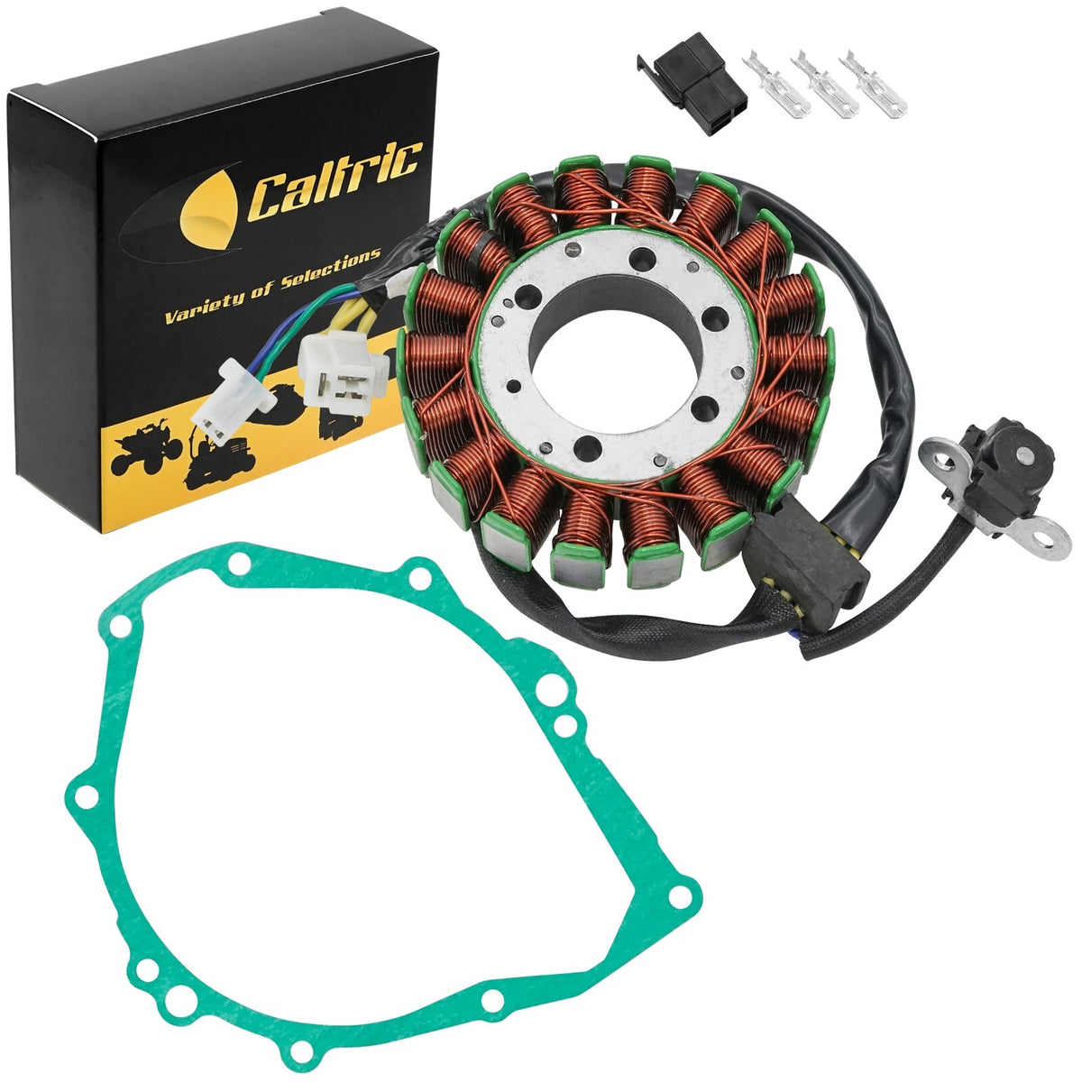 Stator and Gasket Replacement for Suzuki B-King GSX1300B (2008–2008)