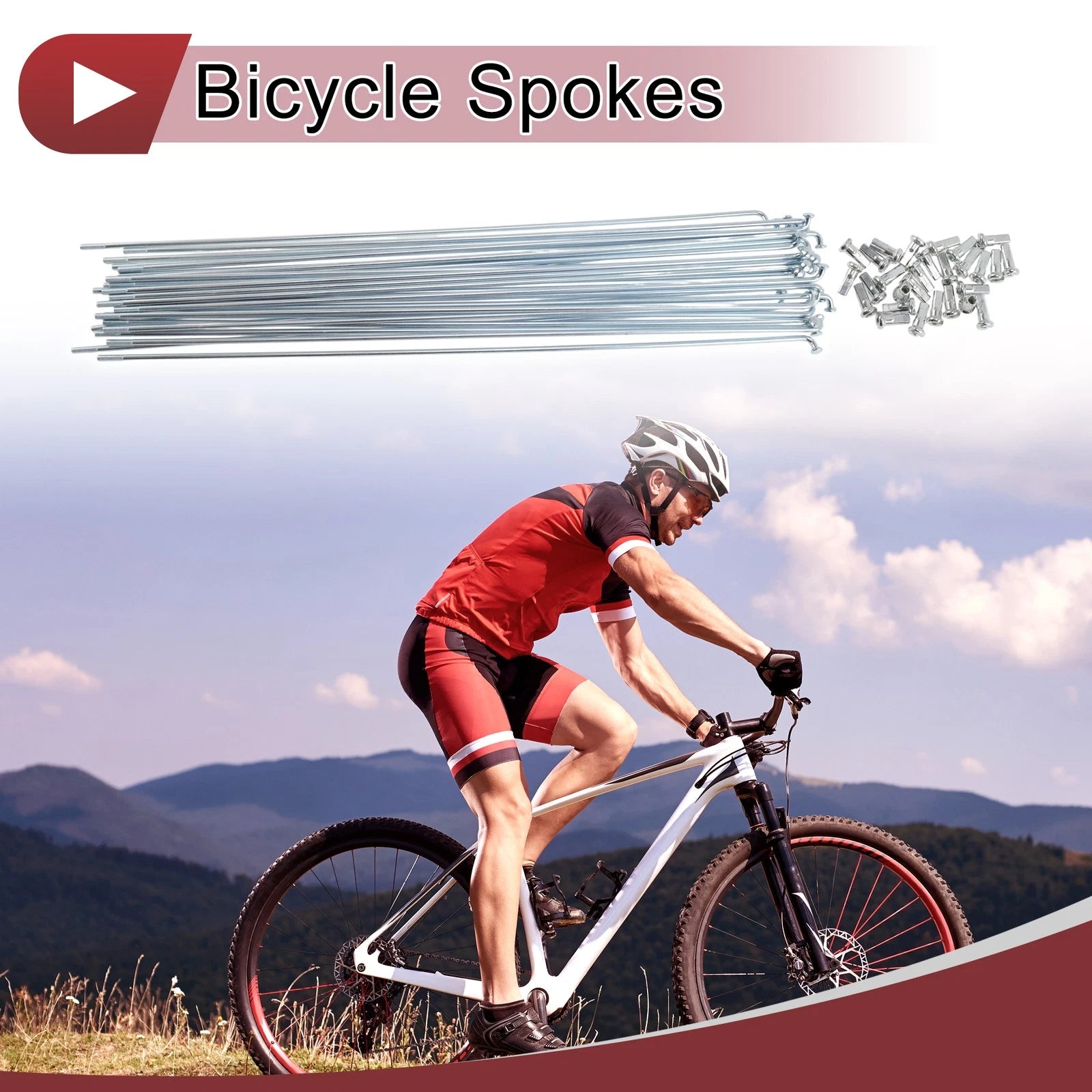 Bicycle Spokes 290mm Carbon Steel Galvanized Set for 700c Wheels (Black)
