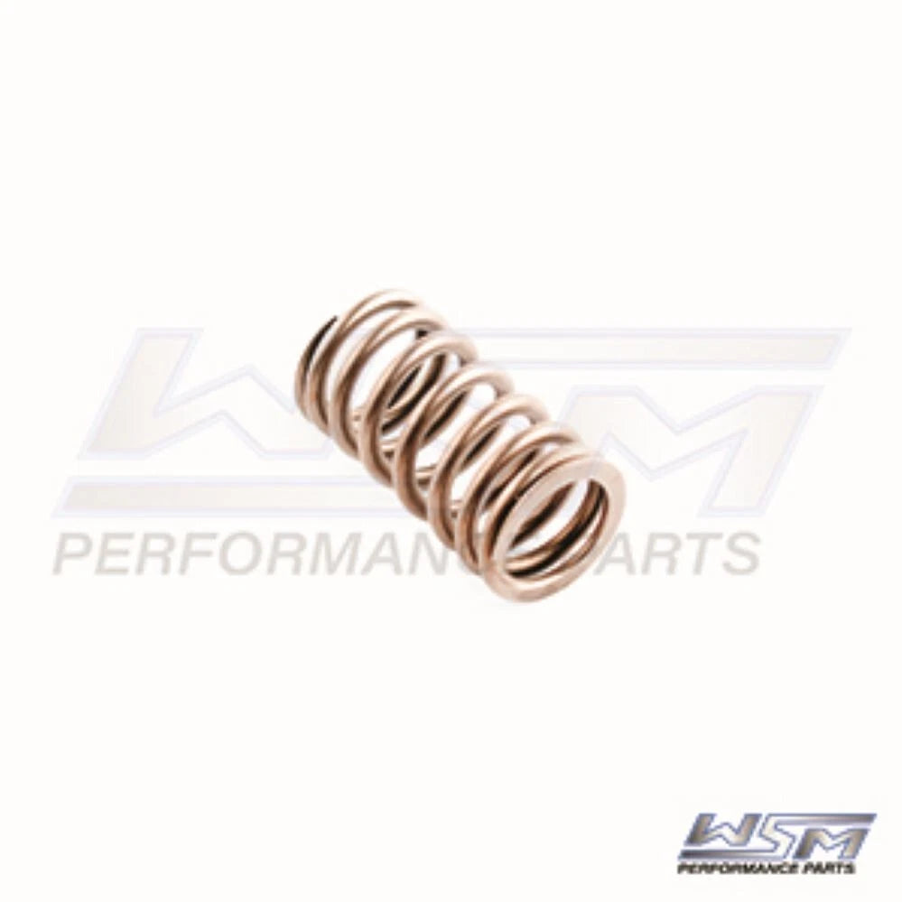 WSM Valve Spring for Yamaha 150-225 HP 4-Stroke (2002–2010) - 120-310