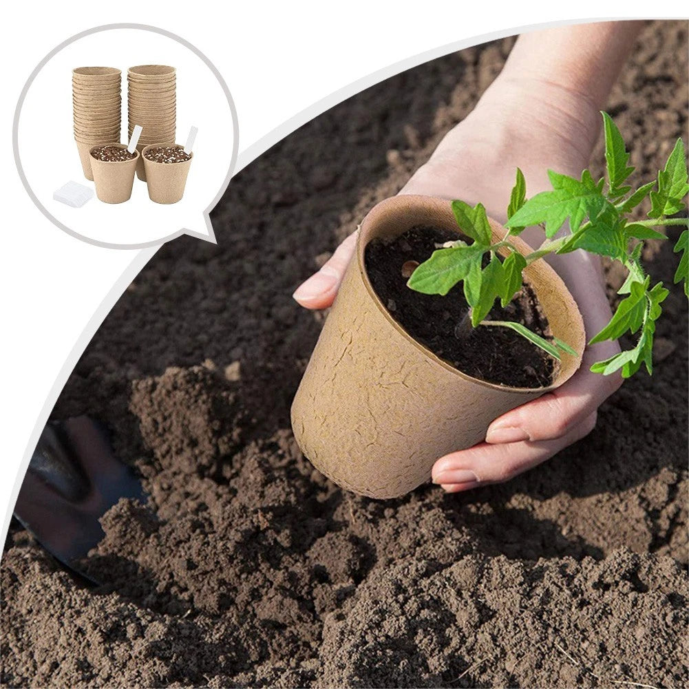 Biodegradable Flower Pots for Garden Enthusiasts