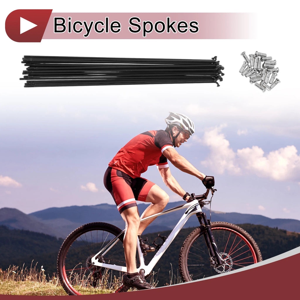 Bicycle Spokes Replacement Set 219mm Black 304 Stainless for 13G Wheel (2005–2015)