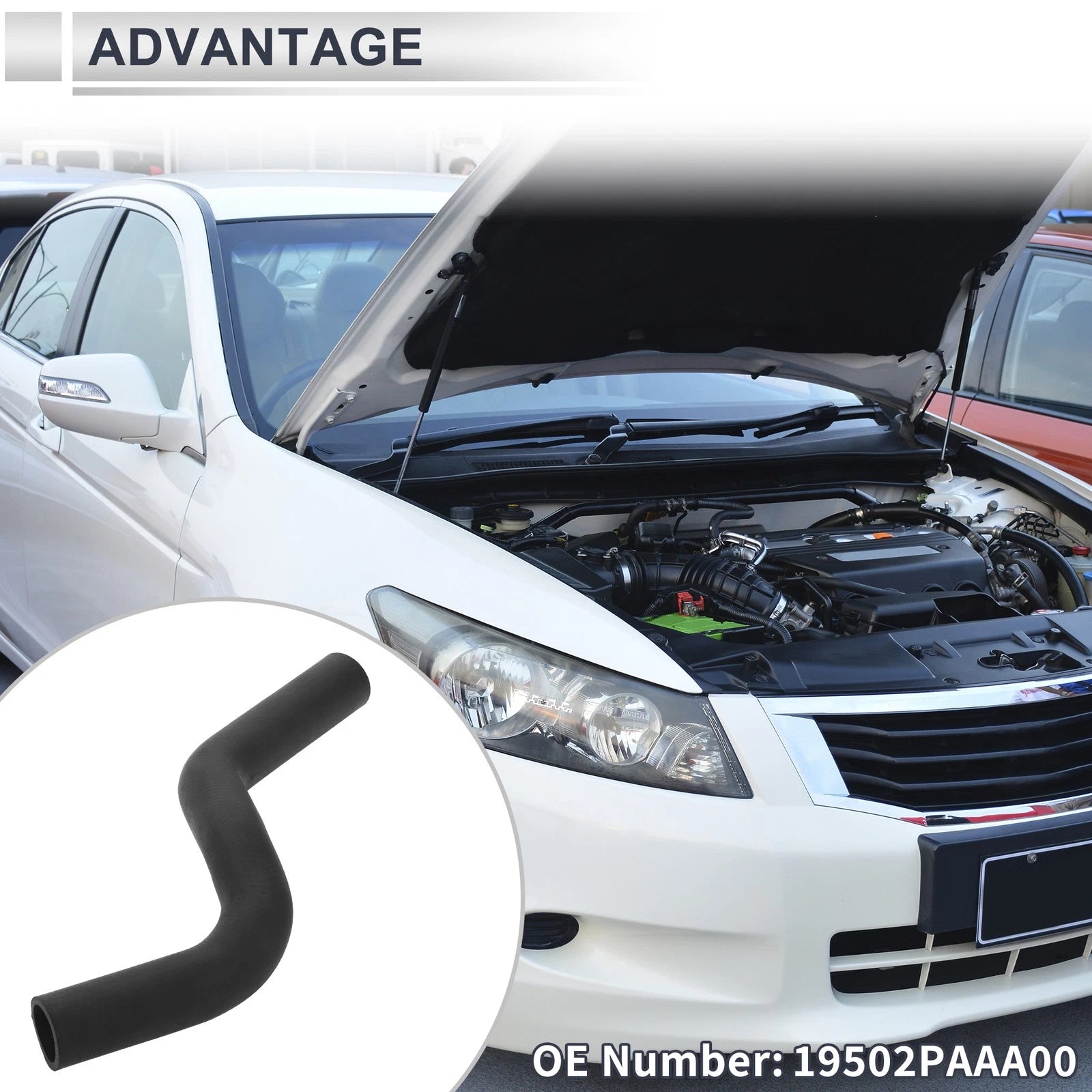 Radiator Coolant Hose Replacement for Honda Accord 2.3L (1998–2002) 1PC