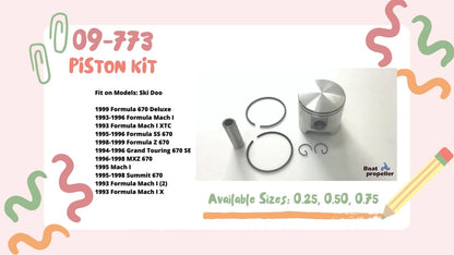 Piston Kit for Ski Doo MXZ/Summit 670 (STD) 09-773 420887612