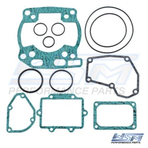 Gasket Kit for WSM