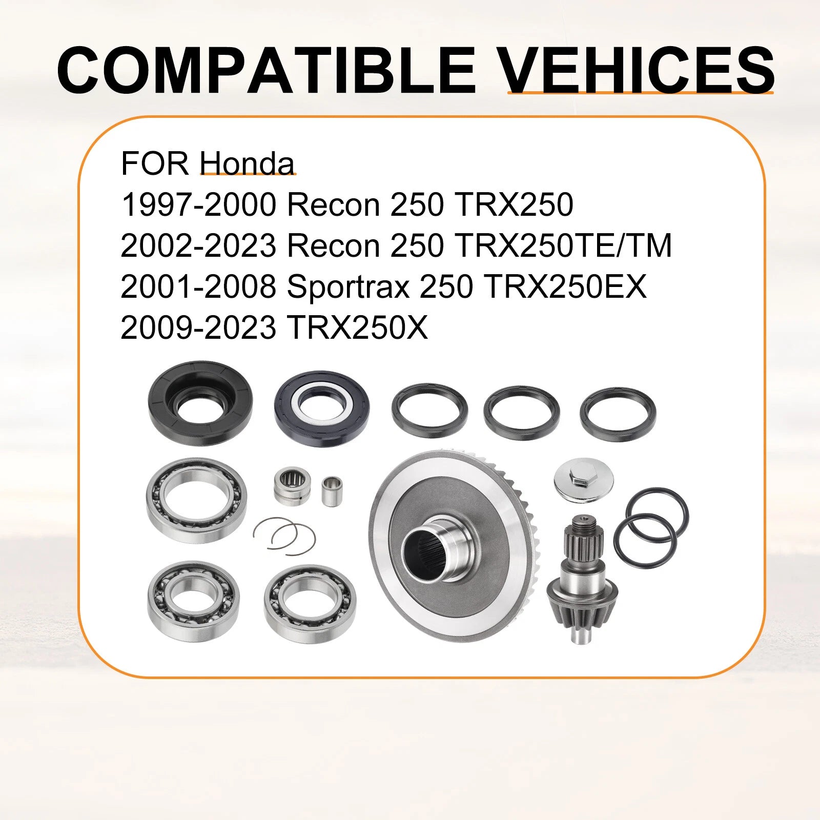 Rear Differential Rebuild w/ Gear Kit for Honda Recon 250 TRX250 (1997–2023)