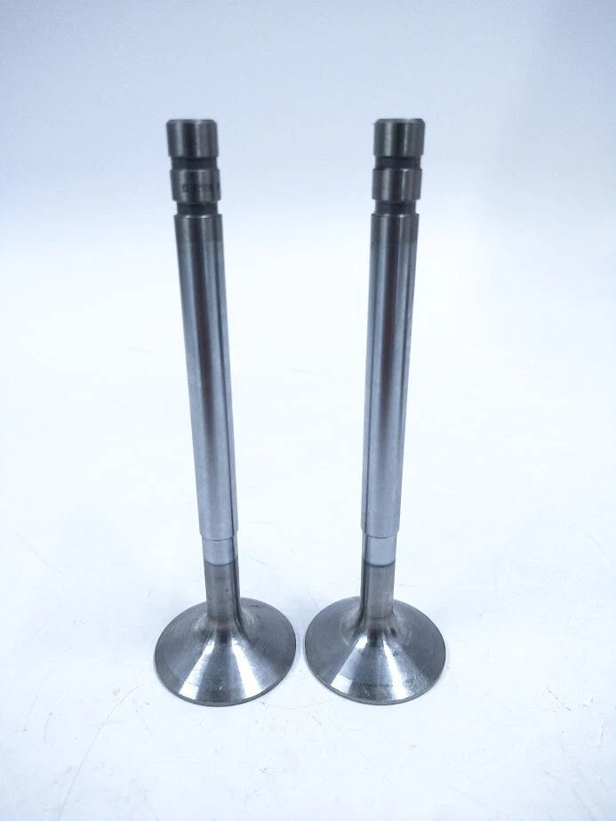 2X Engine Valve for Volvo Penta (421016)