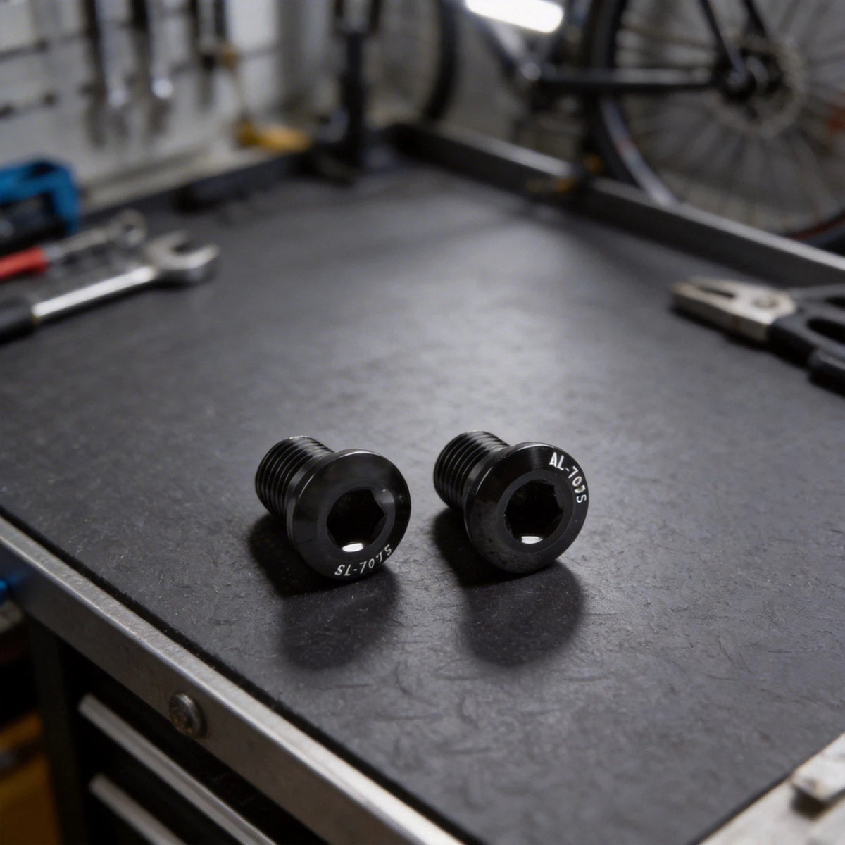 2X Rear Derailleur Hanger Screws for m10 P1 0