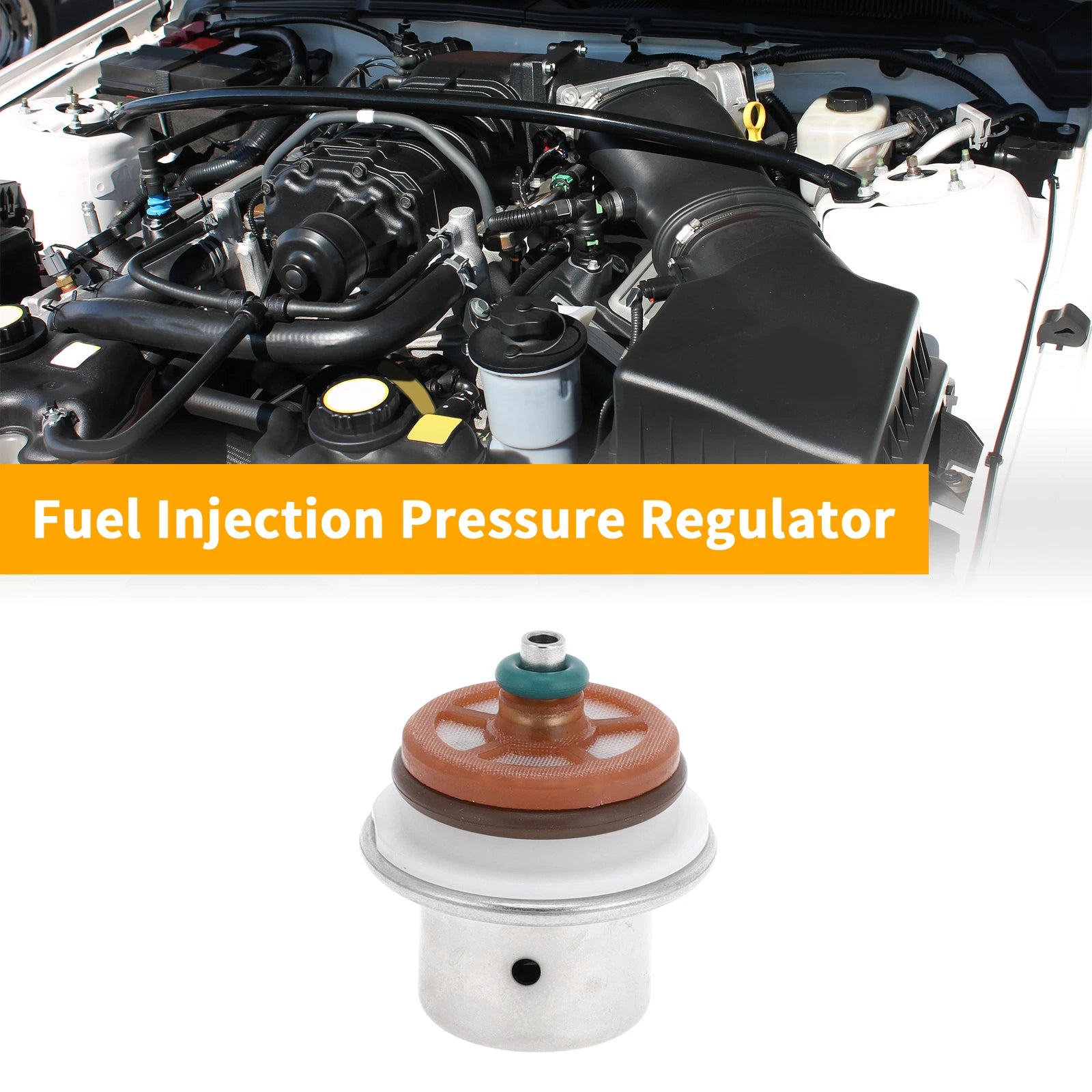 Fuel Pressure Regulator for Harley Davidson (2008–2017) 1 Pc
