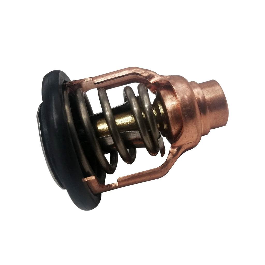 Thermostat 60°C 140°F for Yamaha F175A F175C LF175C VF175 (6DA-12411-01 18-3636)