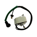 PS6100H Ignition Coil for