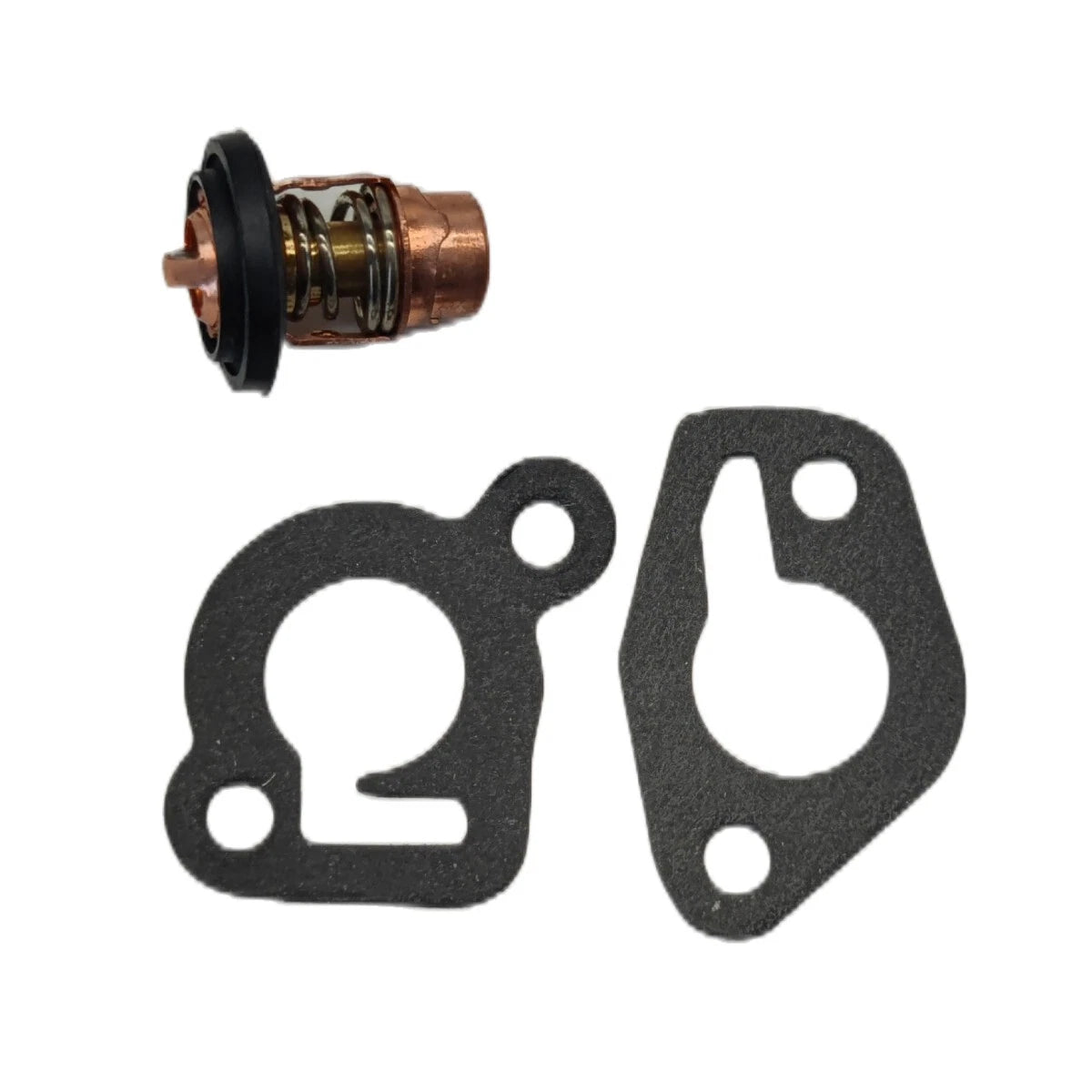 Thermostat Kit for Mercury Mariner (6-25HP 2-Stroke, Replaces 14586A3)