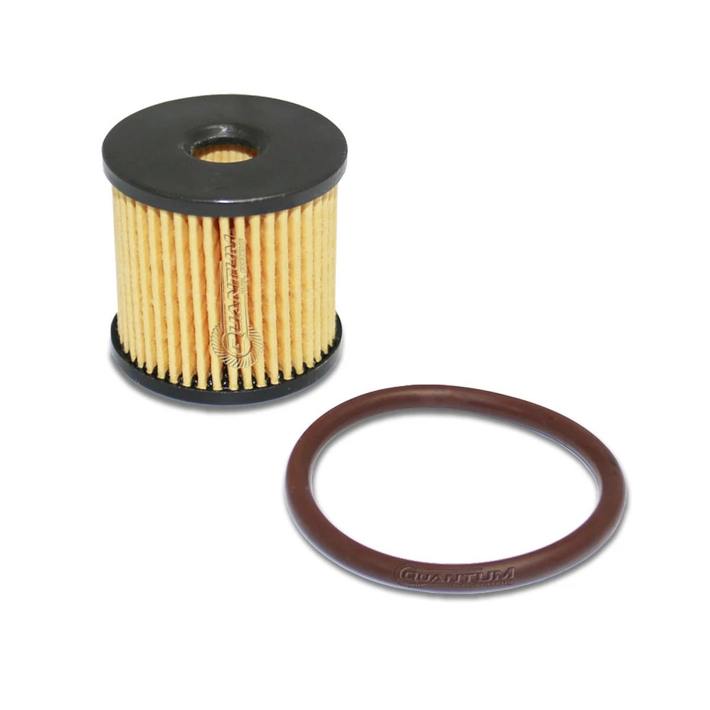 Fuel Pump Strainer + Filter Kit for Harley-Davidson Dyna Glide Softail (2004–2017) 75290-08