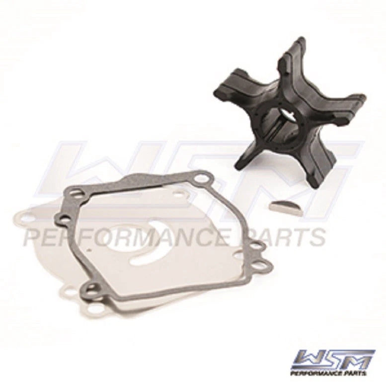 WSM Water Pump Service Kit for DT 725-525-02 (150-225 HP)