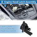 Hood Latch Assembly for Toyota Camry 2017-2023 Front Left Right