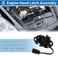 Hood Latch Assembly for Chevrolet Cruze (2016–2018) Replacement