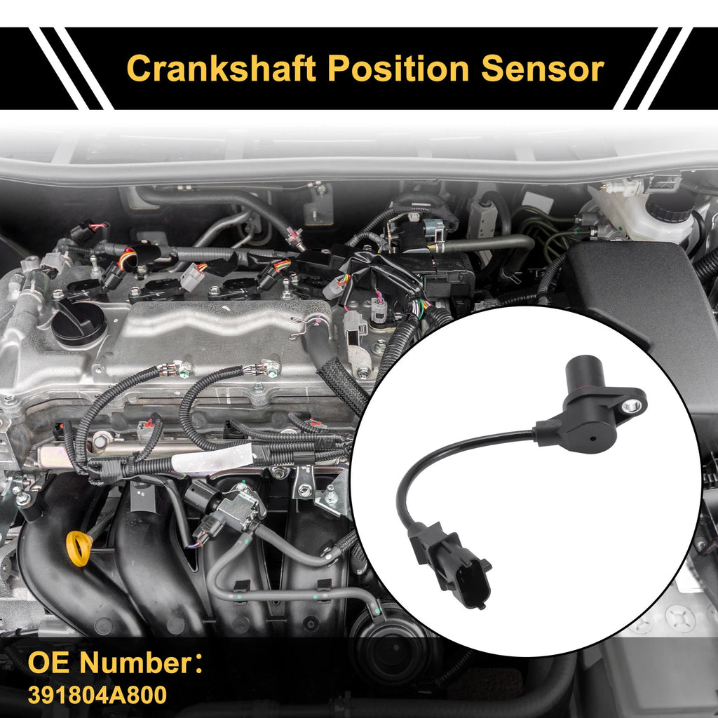 1 Pc Crankshaft Position Sensor No.391804A800 for KIA K2500 (2010)
