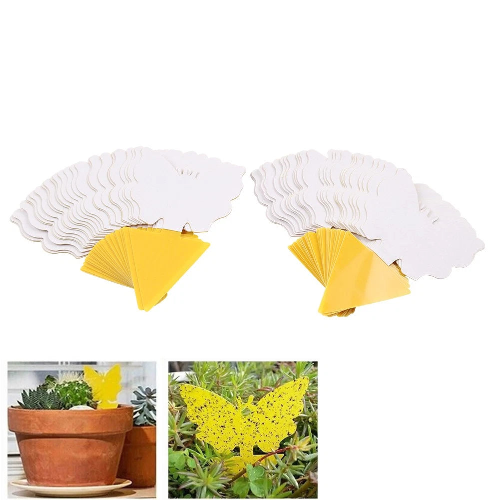 50pcs Sticky Fruit Fly Traps for Indoor Outdoor Use
