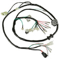 Wire Harness Replacement for Honda Fourtrax 300 TRX300 2X4 (1998–2000)
