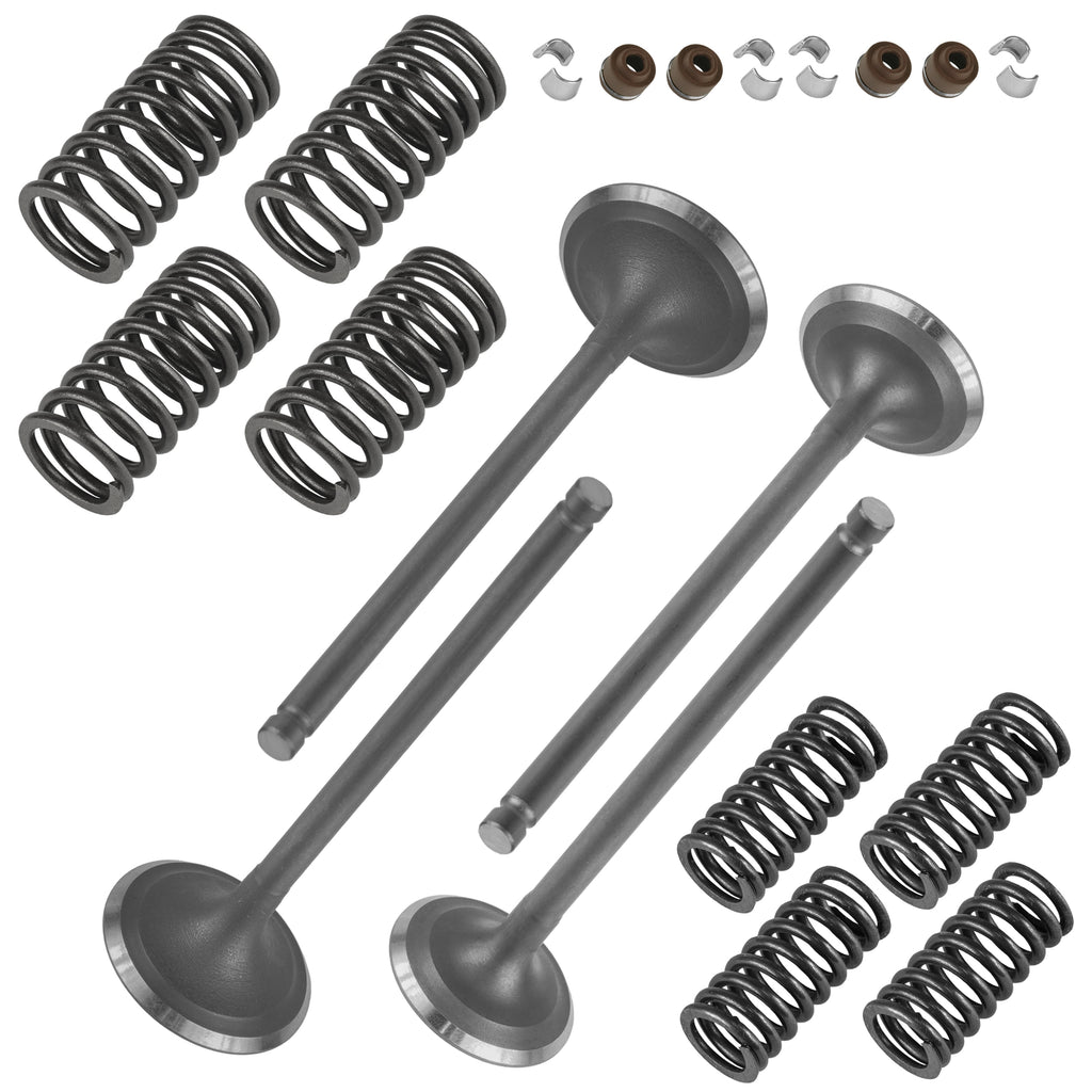 Valve Kit Replacement for Honda Foreman Rubicon 500 TRX500FPA (2009–2014)