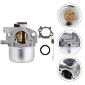 Carburetor Kit for BS Lawn Mower (799866)