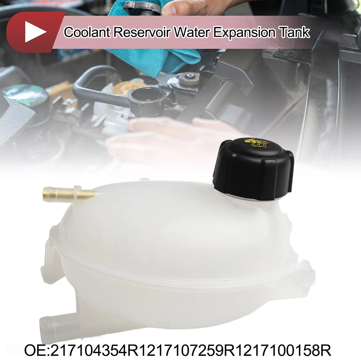 Overflow Tank with Cap for Renault Clio (OEM 217100158R)