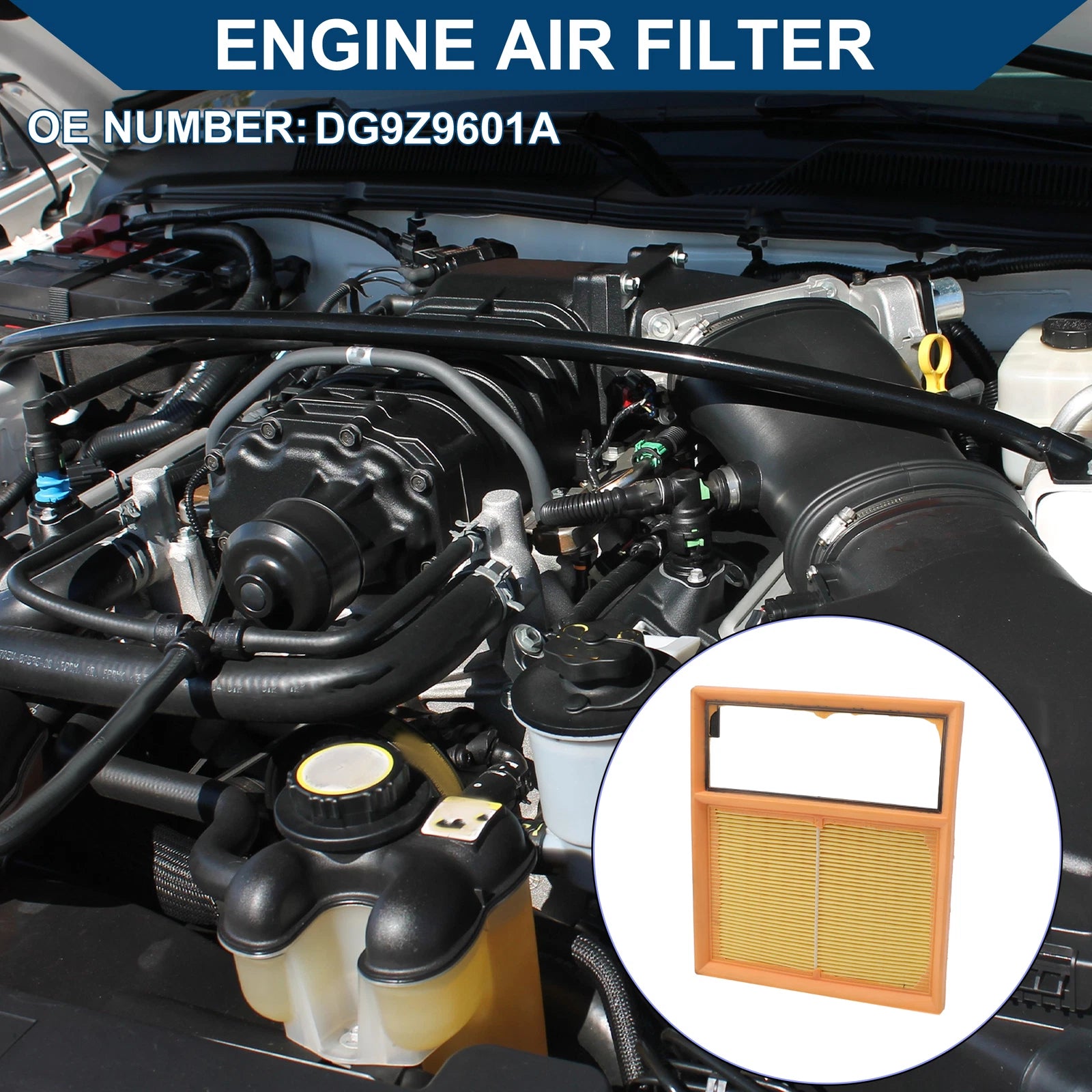 Car Engine Air Filter No.DG9Z9601A for Ford C-Max 2.0L (2013–2018)
