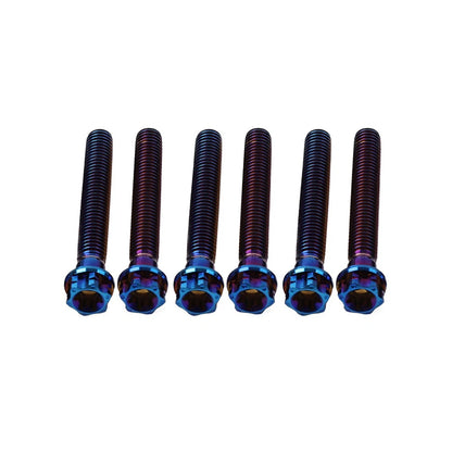 6X M8x55mm Titanium Torx Head Flange Screws for Motorcycle