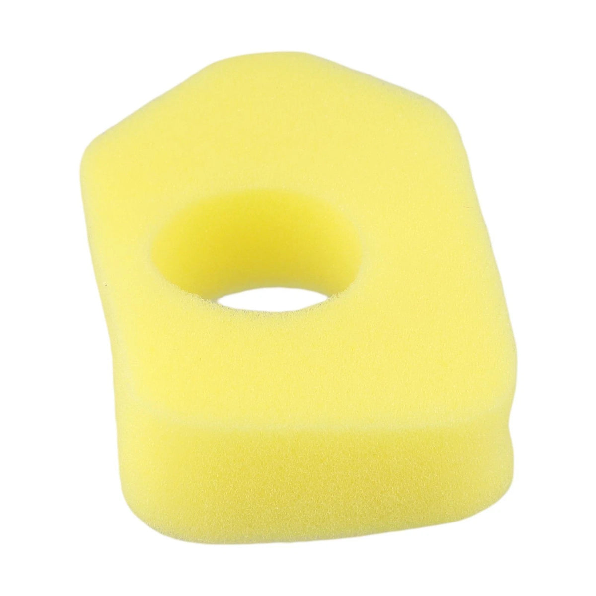 Air Filter and Diaphragm Kit for
