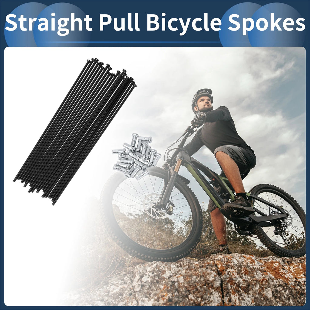 Bicycle Spokes 14G Straight Pull 139mm for 20 Inch Wheel Set (2000–2000)