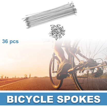 Bicycle Spokes 14G 210mm Carbon Steel Set for Mountain Bike (36Pcs)