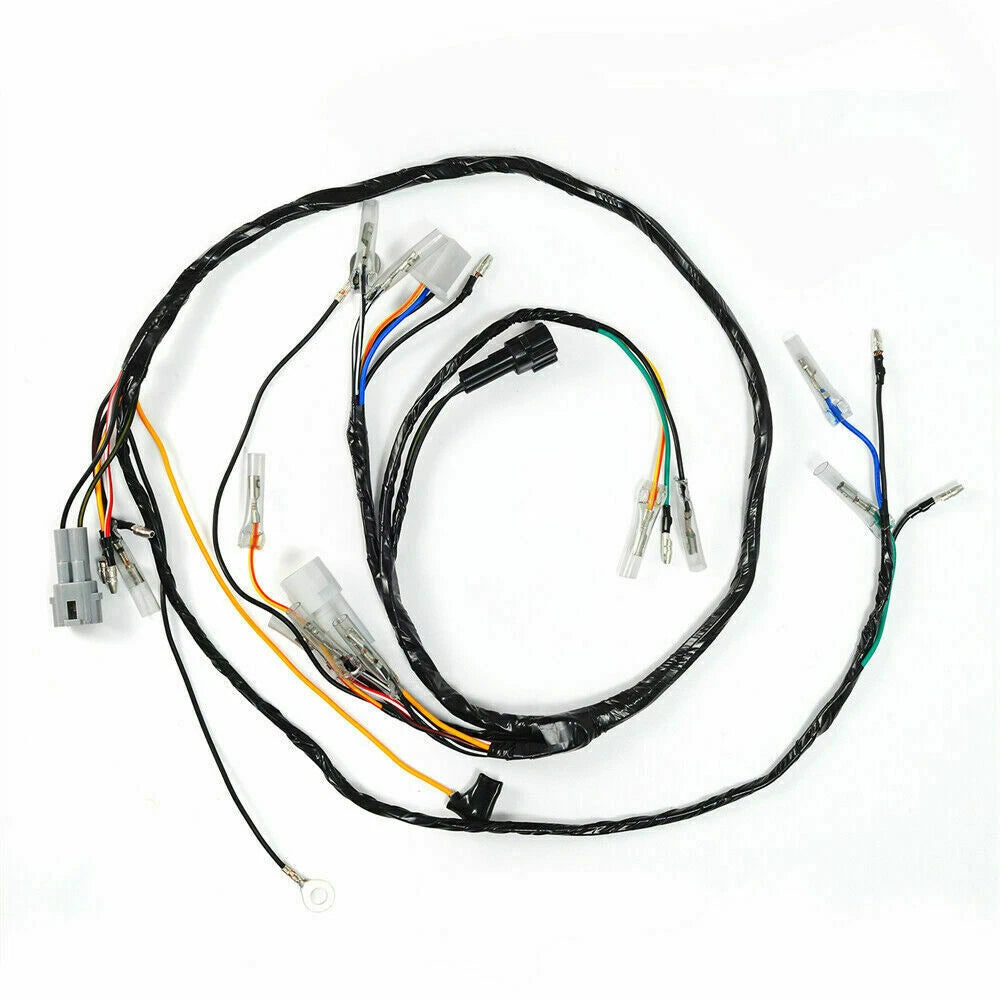 Wire Harness Assy for Yamaha Blaster YFS200 (1997–2001)