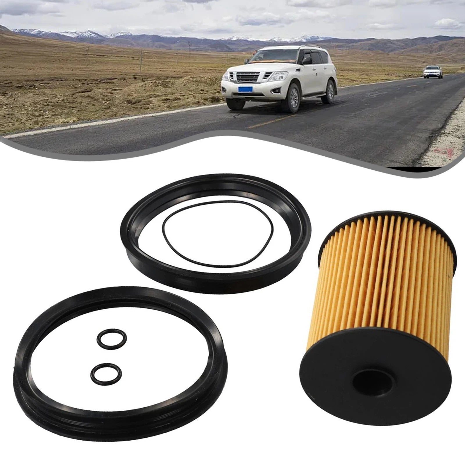 Fuel Filter & O Rings for Fitler (2001–2006)