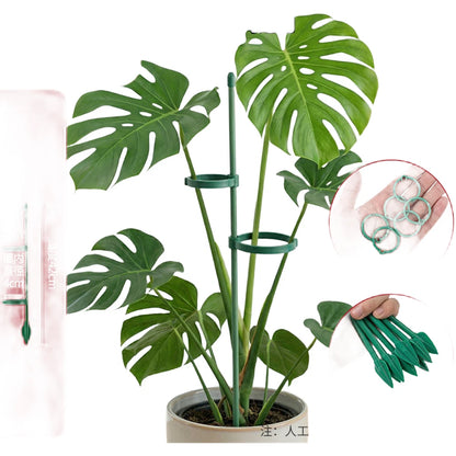 Green Glass Fiber Support Stakes for Monstera Plants (2023)