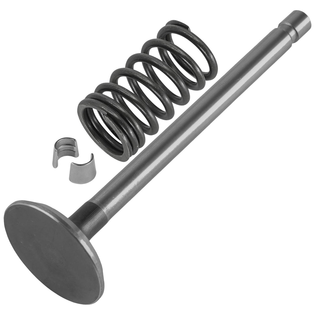 Intake Valve Kit Replacement for Kohler B-60 B-80 B-100 C-120 C-160 (OEM)