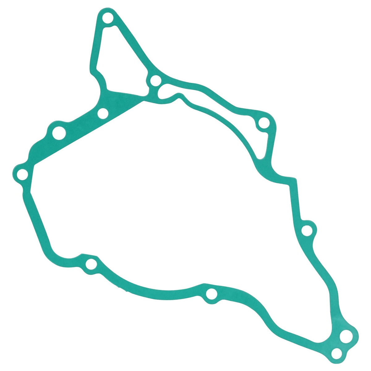 Stator Cover Gasket Replacement for Kawasaki (2001–2009)