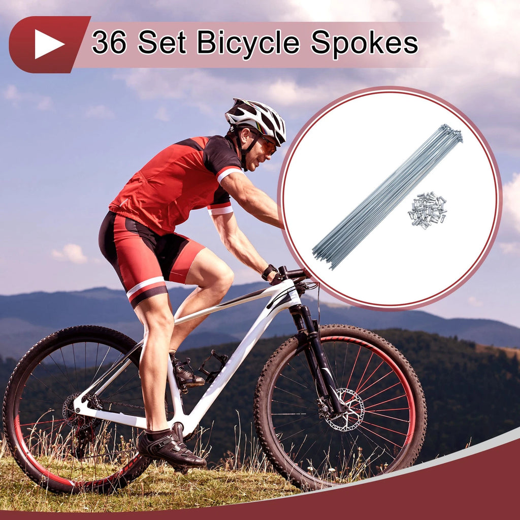 Bicycle Spokes Set 14G Steel Galvanized 275mm for Universal Bikes (—)