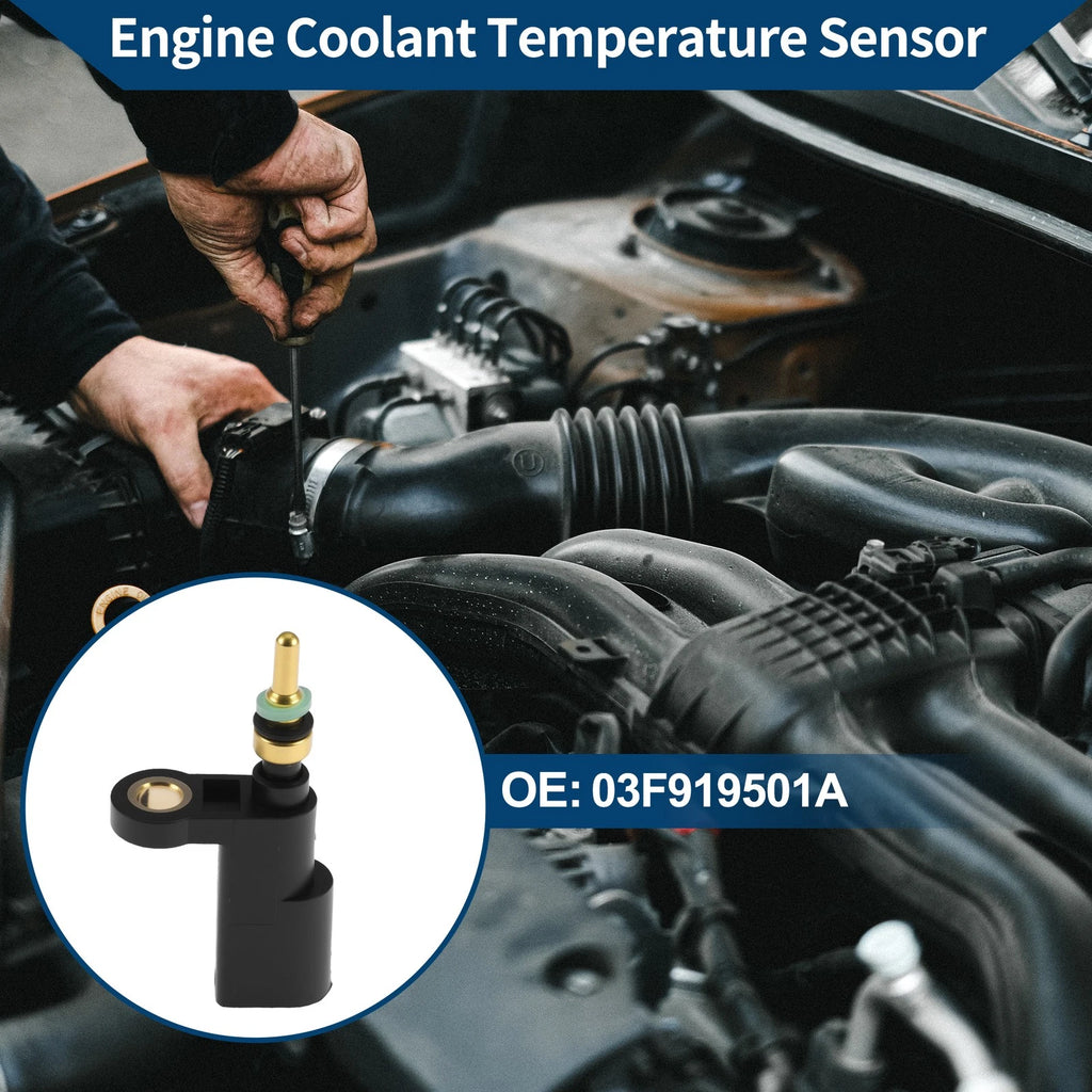 Engine Coolant Temperature Sensor No. 03F919501A for Audi A8 (2012–2016)