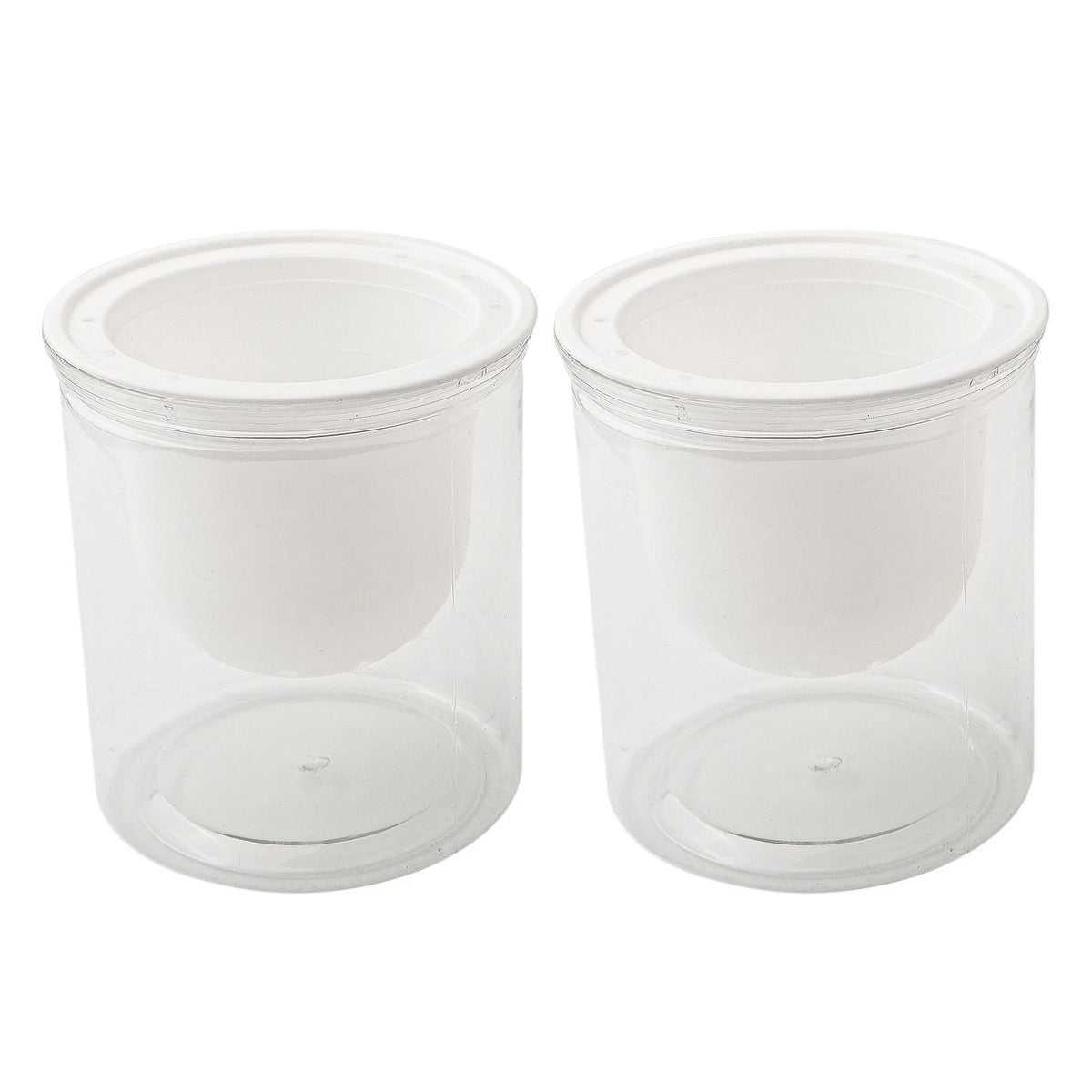 Set of 2 Self-Watering Indoor Flower Pots for Modern Decor
