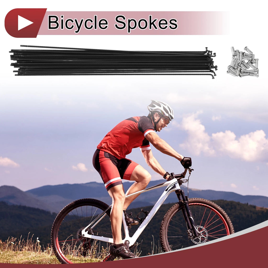Bicycle Spokes 280mm Set 20 for 13G Wheels 304 Stainless Steel Black
