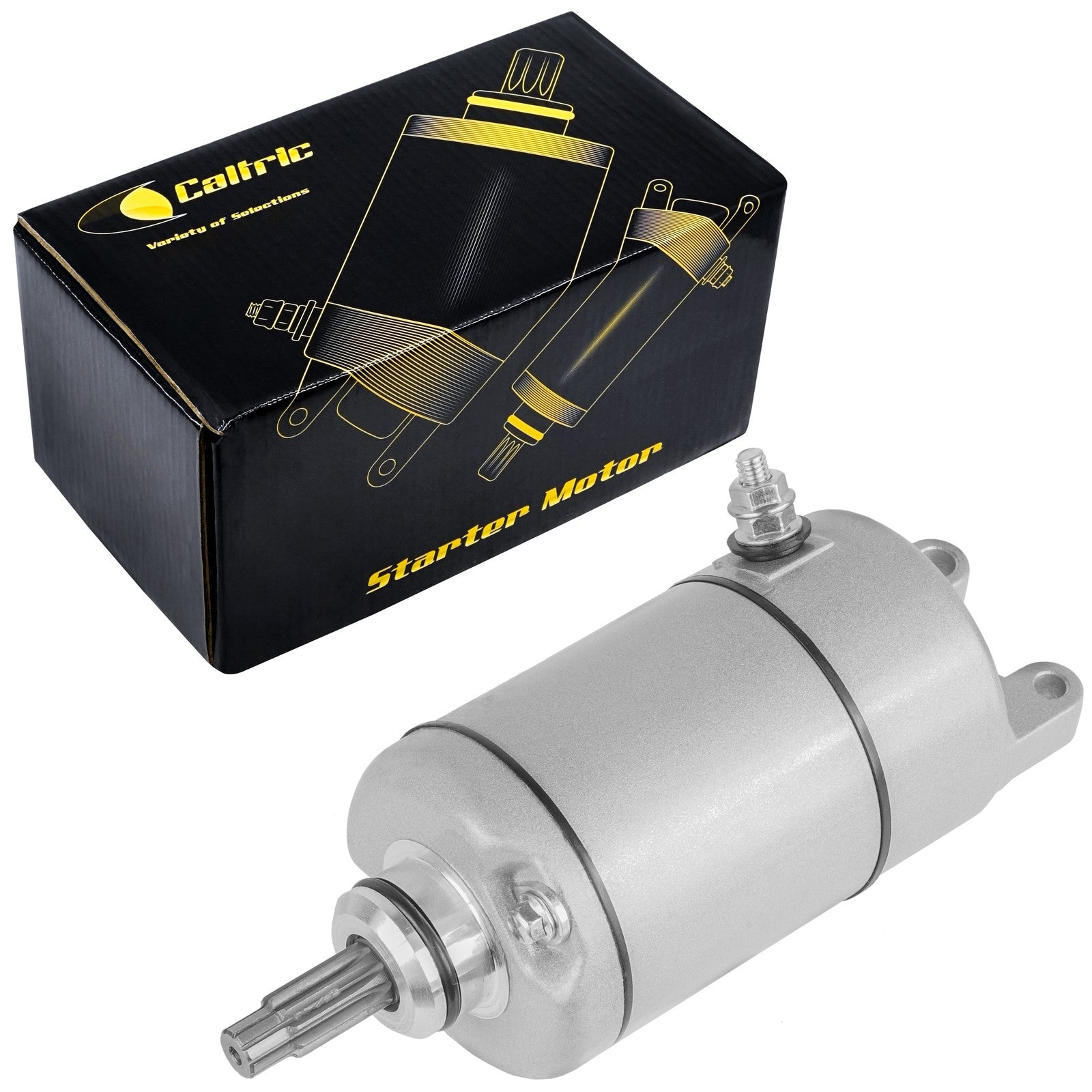 Starter Motor Replacement for Honda TRX300EX 281cc (1993–2007)
