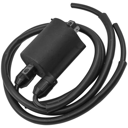 Ignition Coil Replacement for Kawasaki Vulcan 1600 Classic VN1600 (2003–2008)
